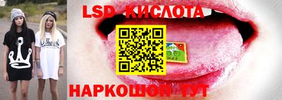 амф Жуковский