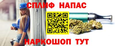 PSILOCYBIN Заволжье