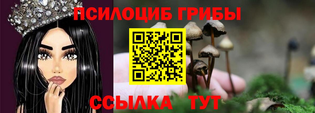 Псилоцибиновые грибы мицелий Лосино-Петровский
